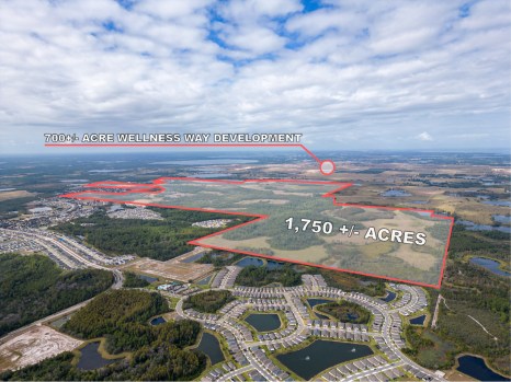 The largest orange grove left in Clermont is being sold for development.  And it's 5 miles from Disney.