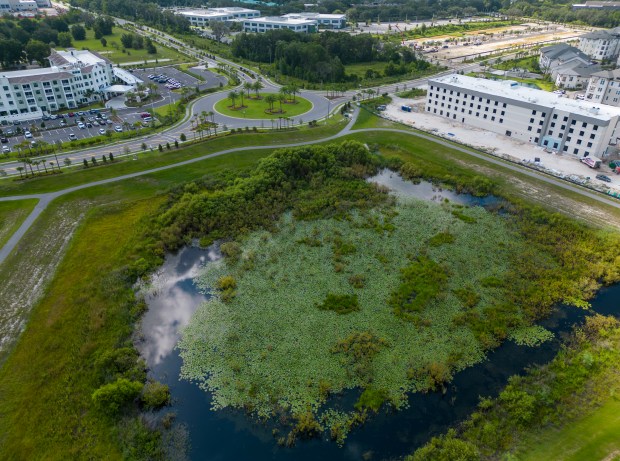Aerial image of a retention pond in the Southwest corner of the the former Siemens property in Lake Mary, on Wednesday, July 12, 2023. Behind to the left is the Sonata Lake Mary; to the right is the construction of a new hotel on land where a state investigation described chemical drums that had been stacked and left to rust. (Ricardo Ramirez Buxeda/ Orlando Sentinel)