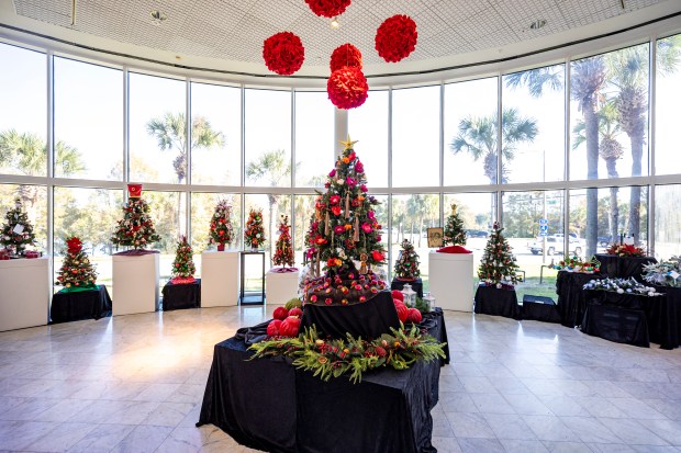 The Festival of Trees returns to Orlando Museum of Art for its 37th year with miniature and full-sized trees on Nov. 9, 2023. The event, a fundraiser for the museum, goes on Nov. 11-19. (Patrick Connolly/Orlando Sentinel)