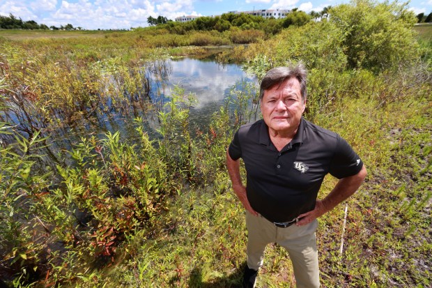 Seminole County Commissioner Lee Constantine at a retention pond at the site of the former Siemens-Stromberg telecommunications manufacturing plant off of Rinehart Road in Lake Mary, Thursday, July 6, 2023. (Joe Burbank/Orlando Sentinel)